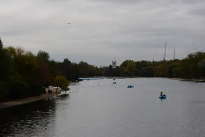 DSC_0692 (Large).JPG